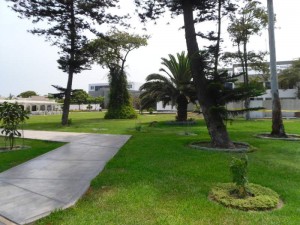 SAM_0067