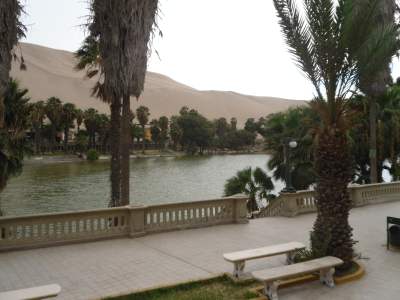 SAM_0135