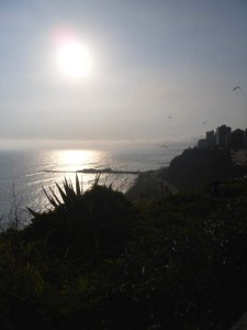 SAM_0406 (2)