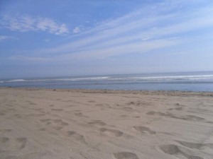 SAM_0895