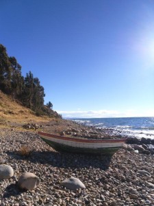 SAM_0966